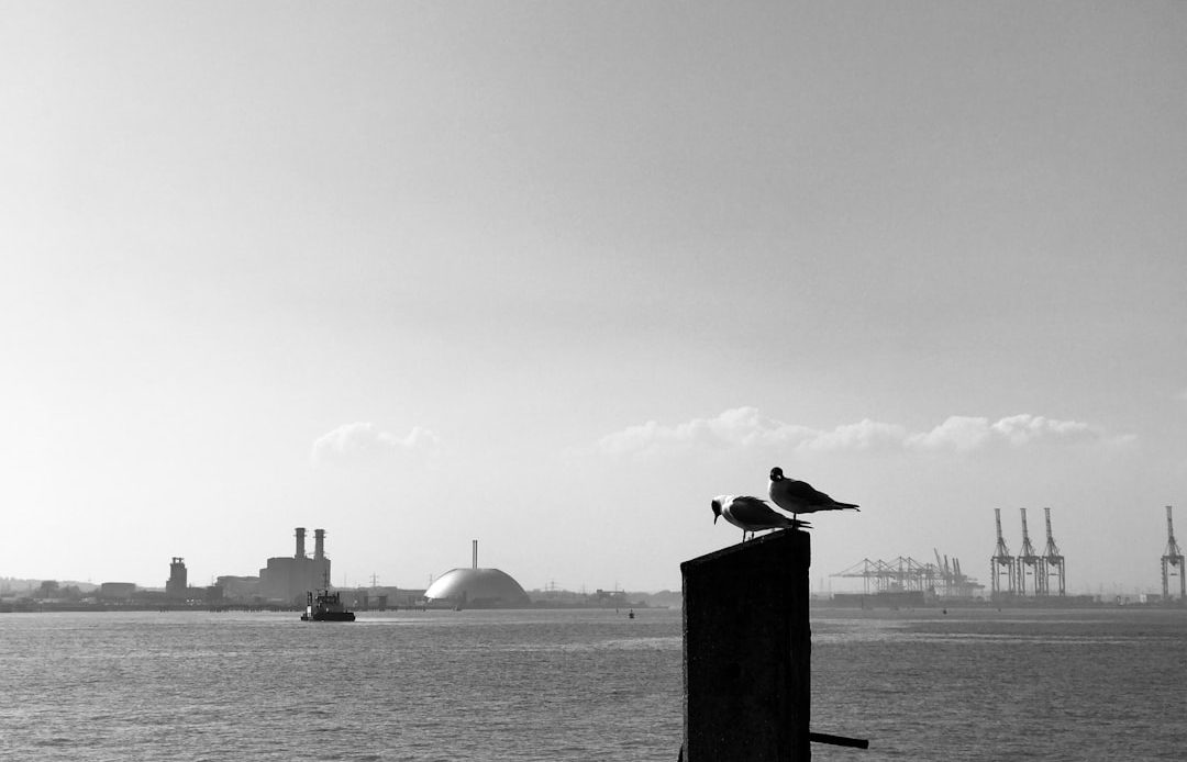 Photo Mergers & Acquisitions